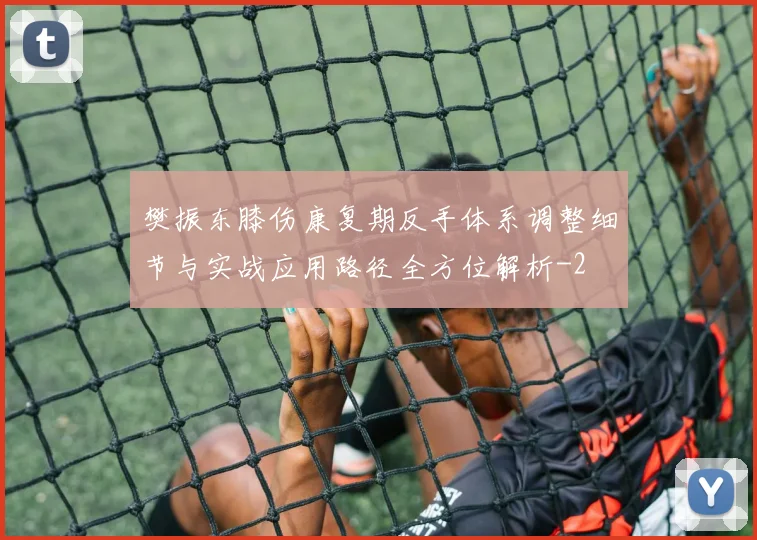 樊振东膝伤康复期反手体系调整细节与实战应用路径全方位解析