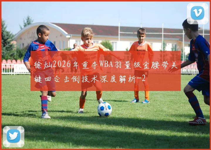 徐灿2026年重夺WBA羽量级金腰带关键回合击倒技术深度解析