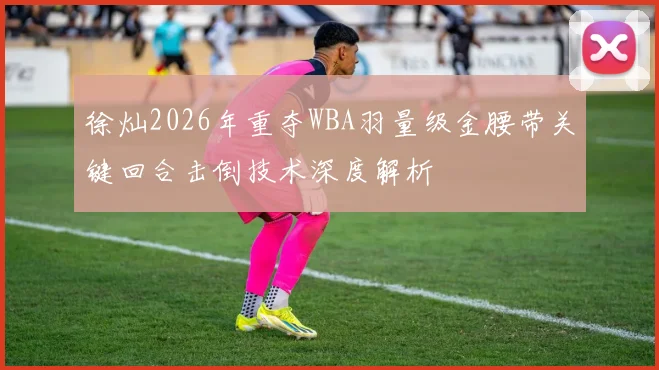 徐灿2026年重夺WBA羽量级金腰带关键回合击倒技术深度解析