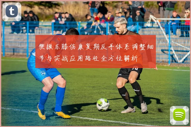 樊振东膝伤康复期反手体系调整细节与实战应用路径全方位解析